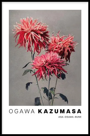 Ogawa Kazumasa - Asa–dsuma–bune