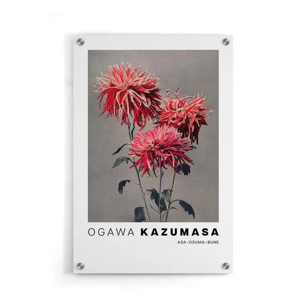Ogawa Kazumasa - Asa–dsuma–bune