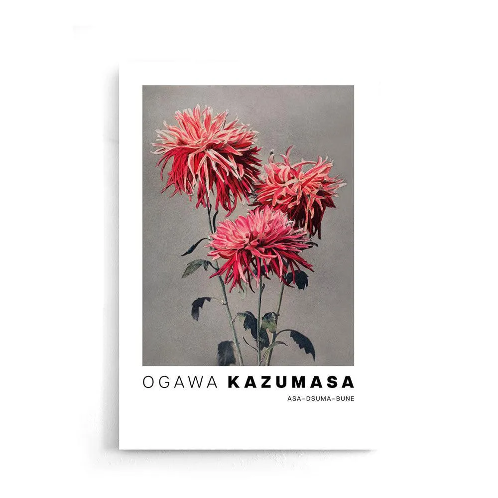 Ogawa Kazumasa - Asa–dsuma–bune