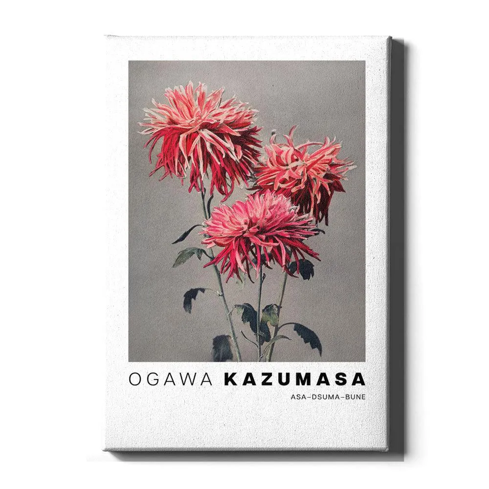 Ogawa Kazumasa - Asa–dsuma–bune