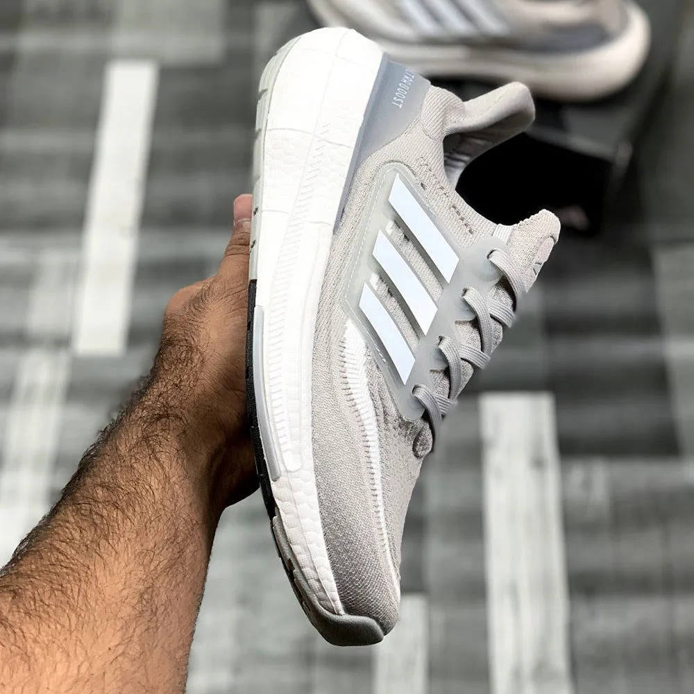 UB LightBoost (Wolf Grey)